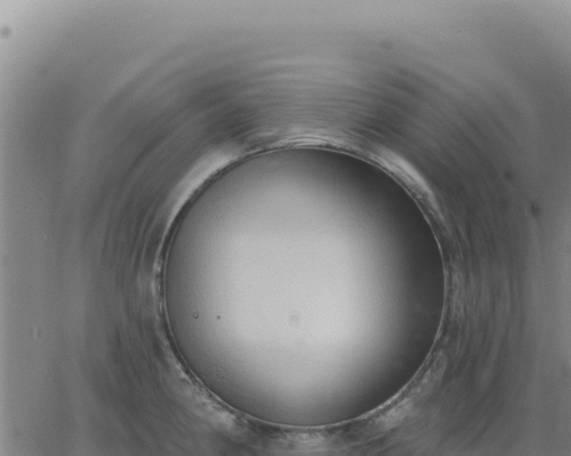 X0000063481190200601271647