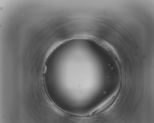 X0000063481192200601271647