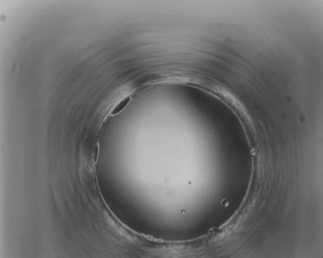 X0000063481193200601271647