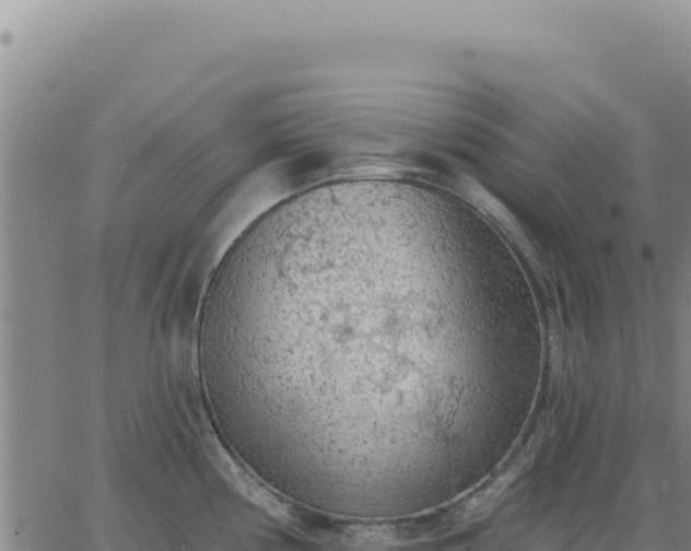 X0000063481194200601271647