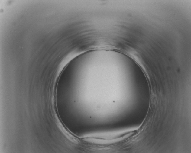 X0000063481195200601271647