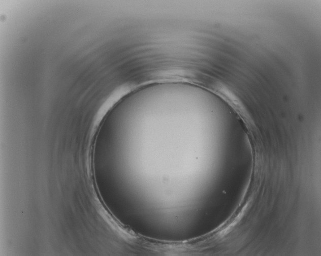 X0000063481196200601271647