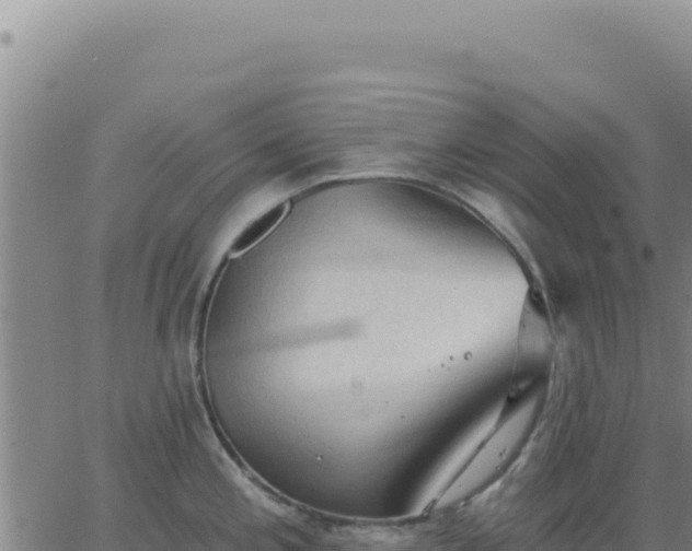 X0000063481197200601271647