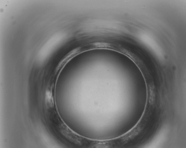 X0000063481198200601271647