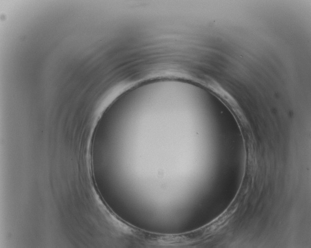 X0000063481199200601271647