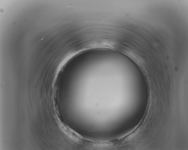 X0000063481200200601271647