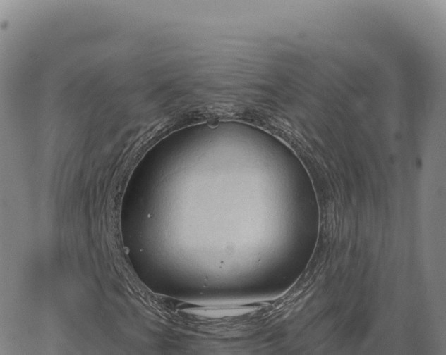 X0000063481201200601271646