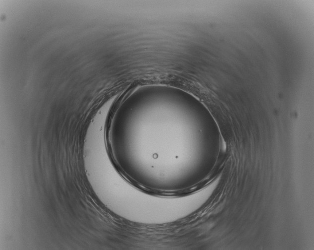 X0000063481202200601271646