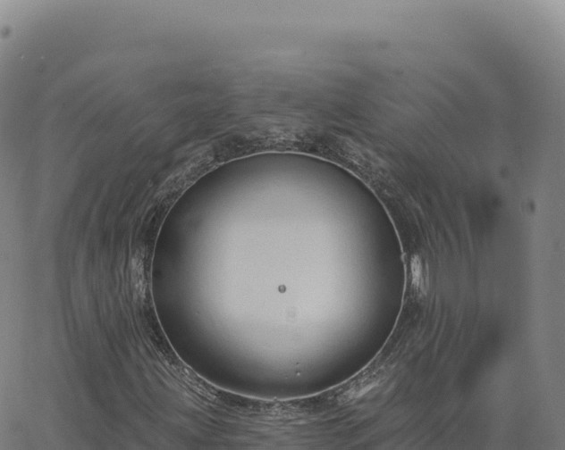 X0000063481203200601271646