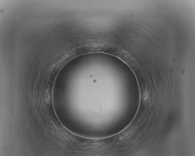 X0000063481204200601271646