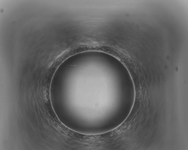 X0000063481205200601271646