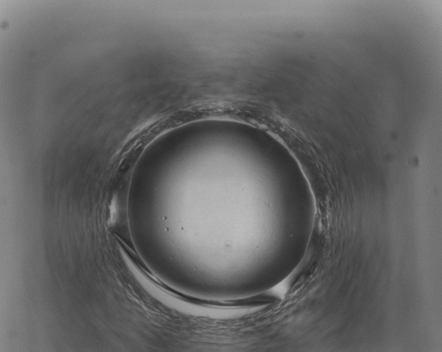 X0000063481206200601271646