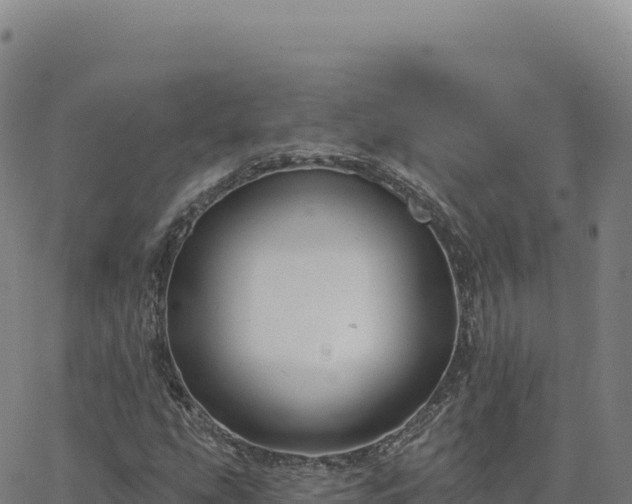 X0000063481207200601271646