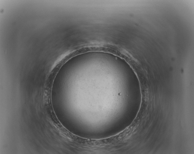 X0000063481208200601271646