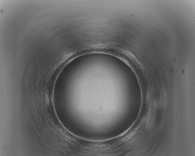 X0000063481209200601271646