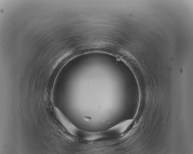 X0000063481210200601271646