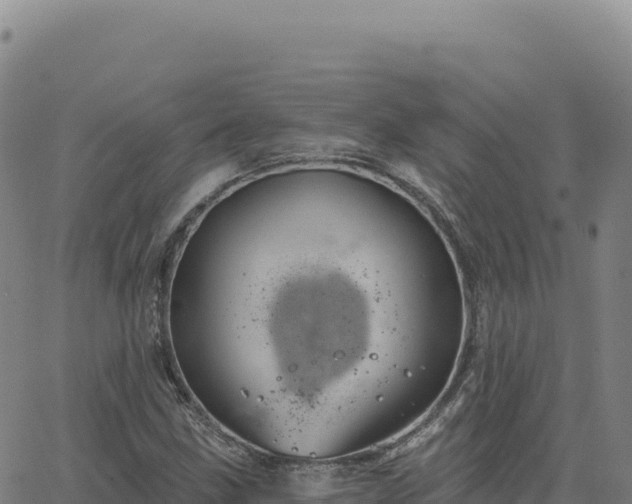 X0000063481211200601271646