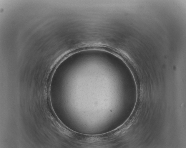 X0000063481212200601271646