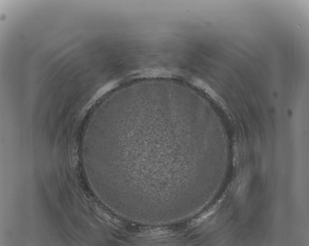 X0000063481213200601271646