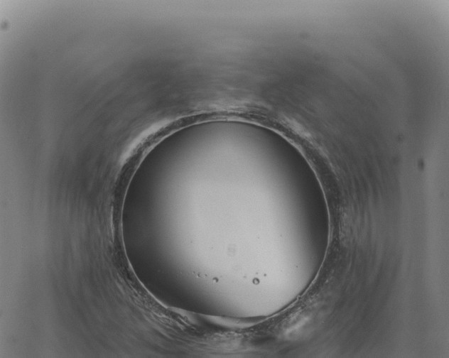 X0000063481214200601271646