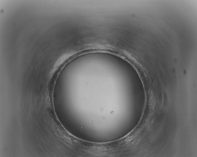 X0000063481215200601271646