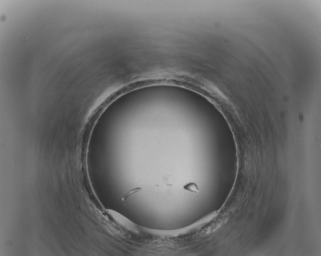 X0000063481216200601271646