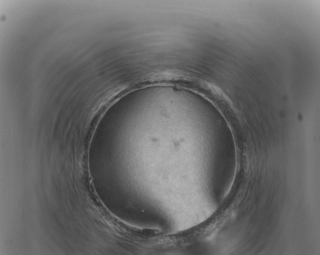 X0000063481217200601271646