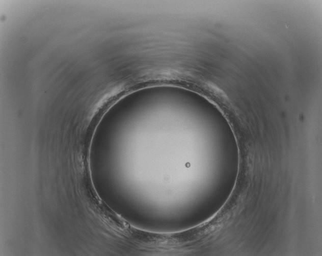 X0000063481218200601271646