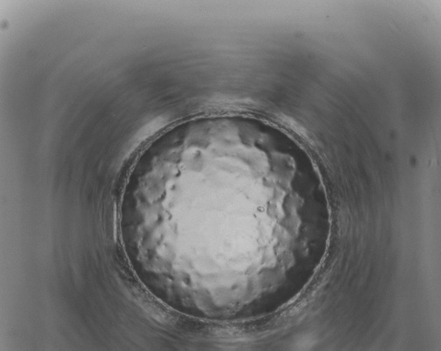 X0000063481219200601271646