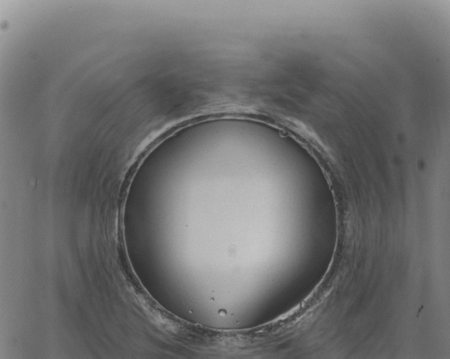 X0000063481220200601271646