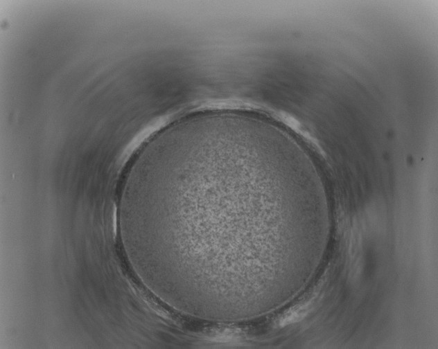 X0000063481221200601271646