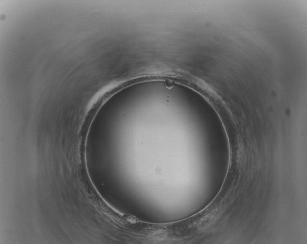 X0000063481222200601271646