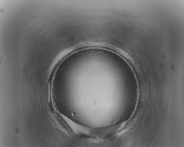 X0000063481223200601271646