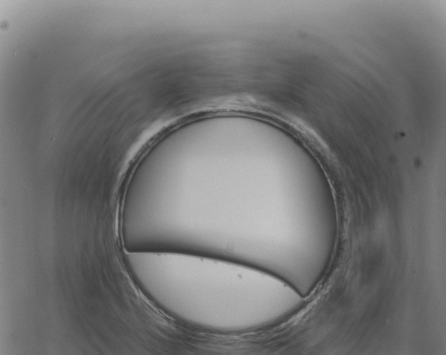 X0000063481224200601271646