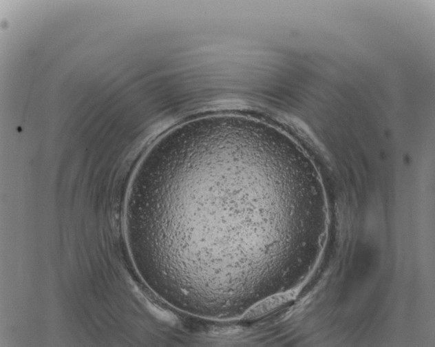 X0000063481225200601271646