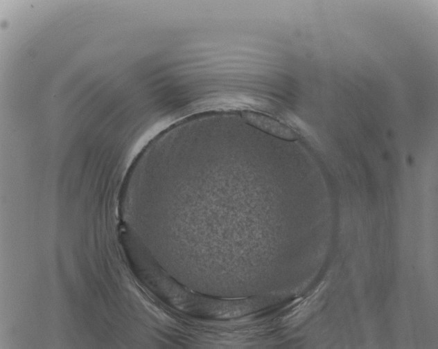 X0000063481226200601271646