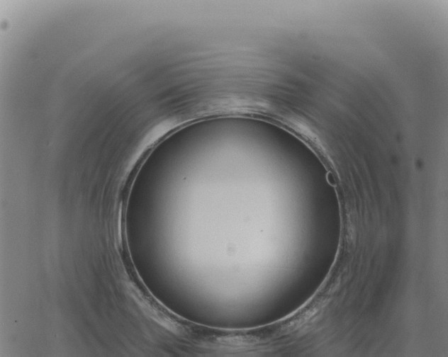 X0000063481227200601271646