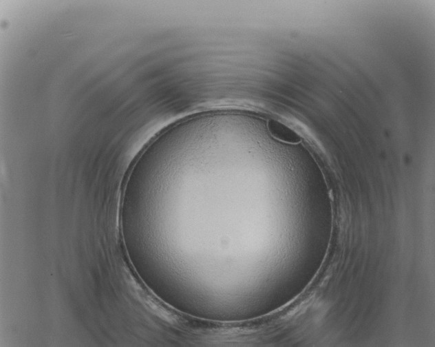 X0000063481228200601271646