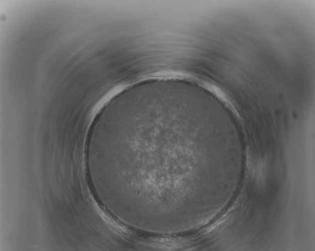 X0000063481229200601271646