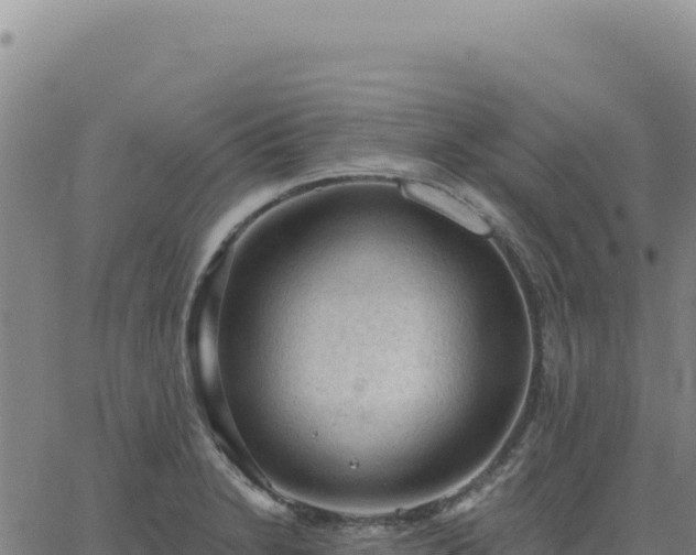 X0000063481230200601271646