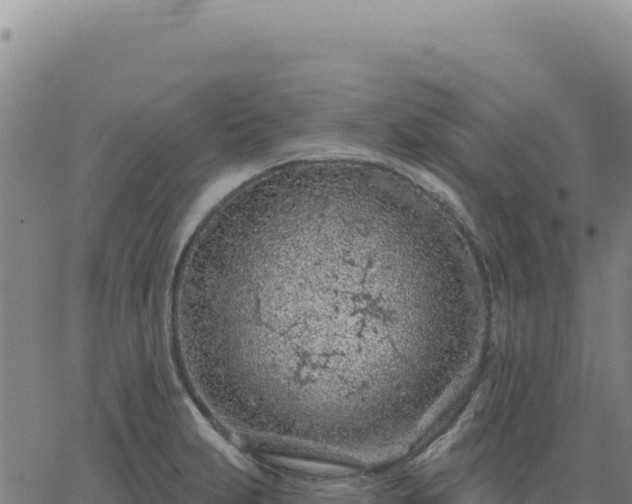 X0000063481231200601271646