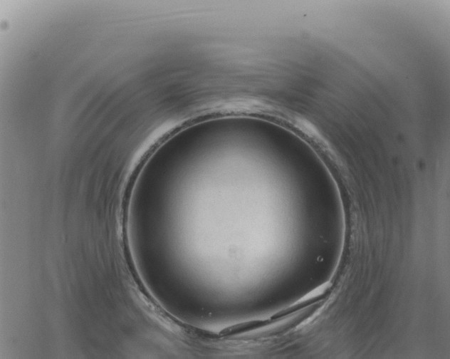 X0000063481232200601271646