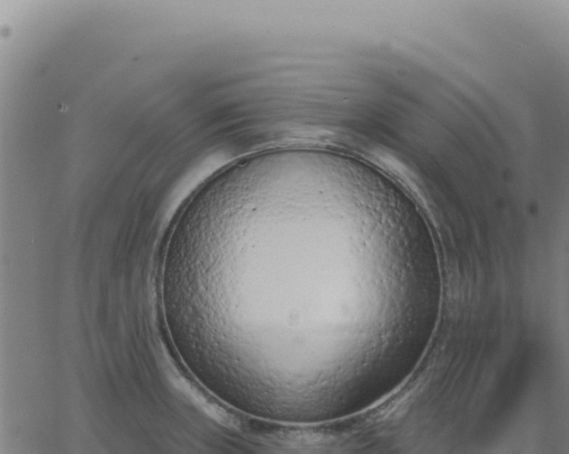 X0000063481235200601271646