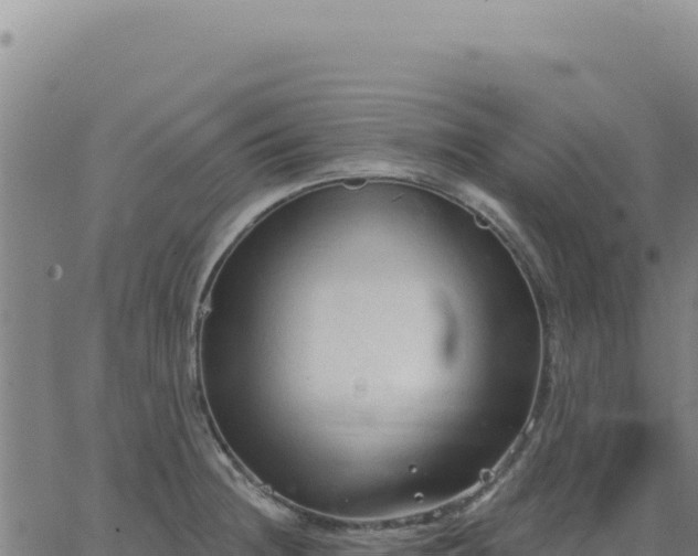 X0000063481236200601271646