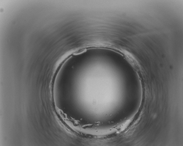 X0000063481238200601271646