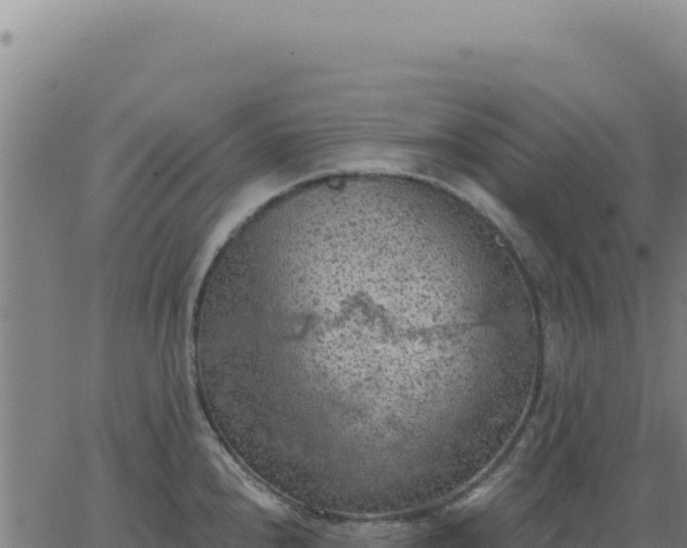 X0000063481240200601271647