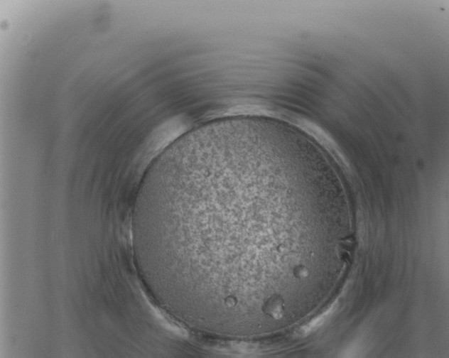 X0000063481241200601271647