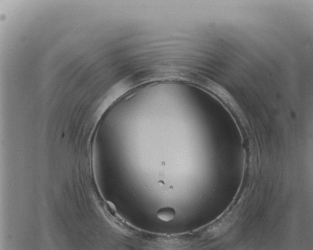 X0000063481242200601271647