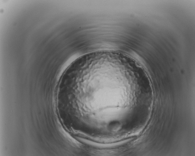 X0000063481243200601271647