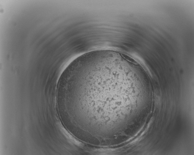 X0000063481244200601271647